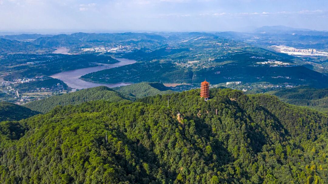 新年献词｜共此城，赴新程